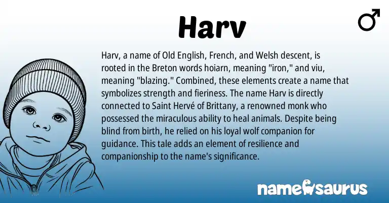 Infographic about Harv name meaning, Harv is a name from Old English, French, Welsh, Breton origin(s).