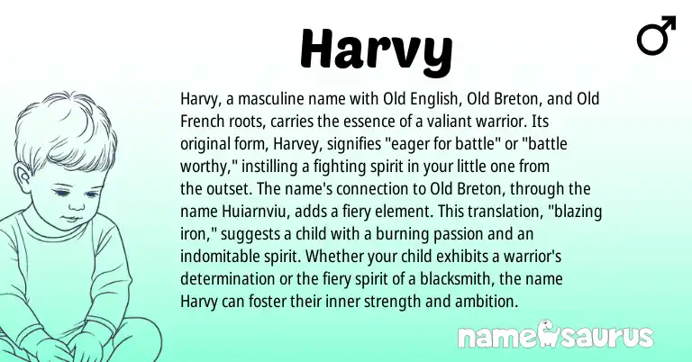 Infographic about Harvy name meaning, Harvy is a name from Old English, Old French, Breton origin(s).