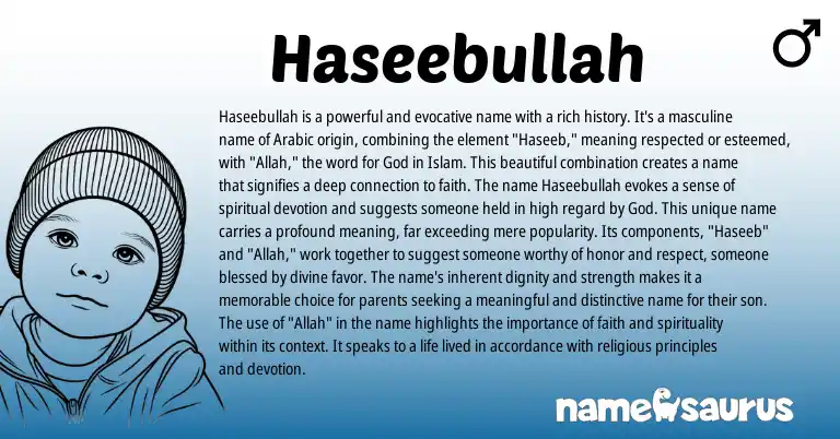 Infographic about Haseebullah name meaning, Haseebullah is a name from Arabic origin(s).