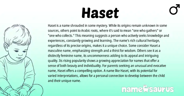 Infographic about Haset name meaning, Haset is a name from Arabic origin(s).