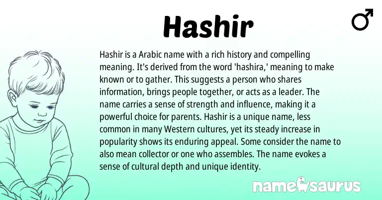 Infographic about Hashir name meaning, Hashir is a name from Arabic origin(s).