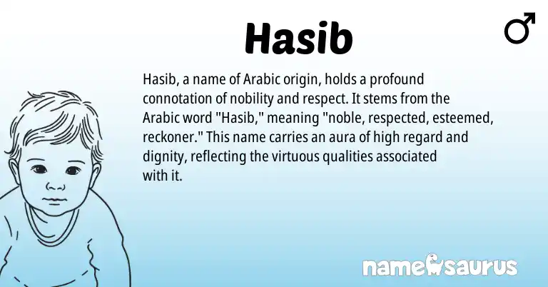 Infographic about Hasib name meaning, Hasib is a name from Arabic origin(s).