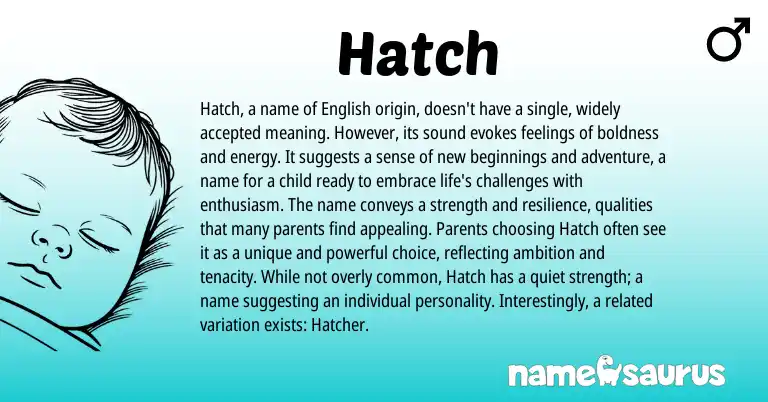 Infographic about Hatch name meaning, Hatch is a name from English origin(s).