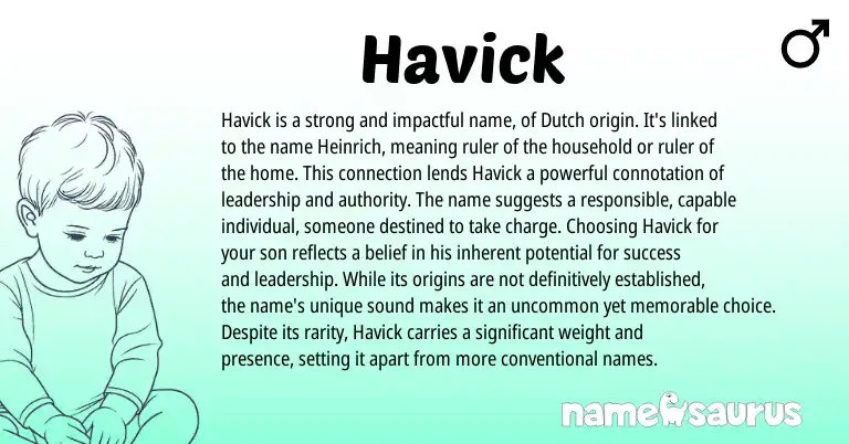 Infographic about Havick name meaning, Havick is a name from Dutch origin(s).