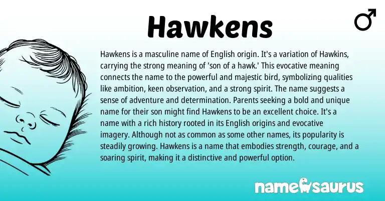 Infographic about Hawkens name meaning, Hawkens is a name from English origin(s).