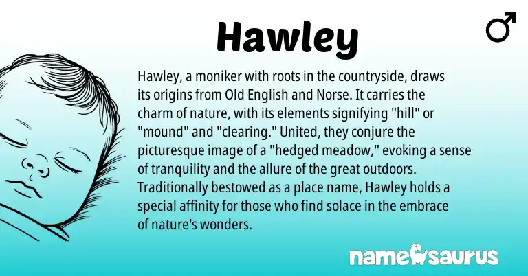 Infographic about Hawley name meaning, Hawley is a name from Old English, Norse origin(s).