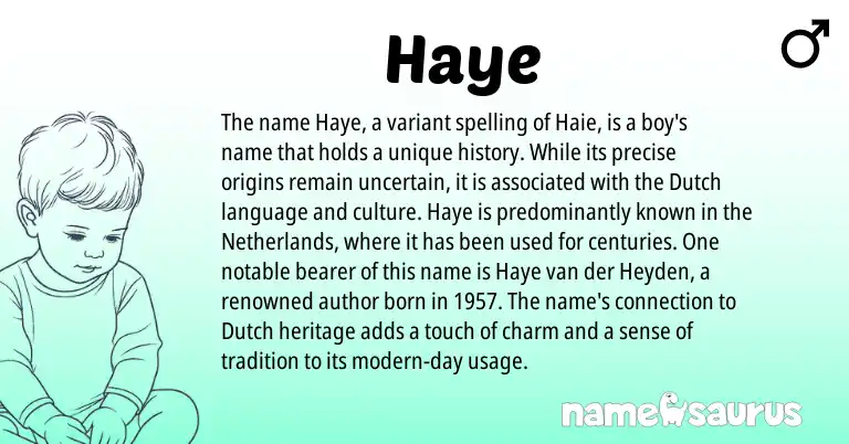 Infographic about Haye name meaning, Haye is a name from Netherlands, Dutch origin(s).