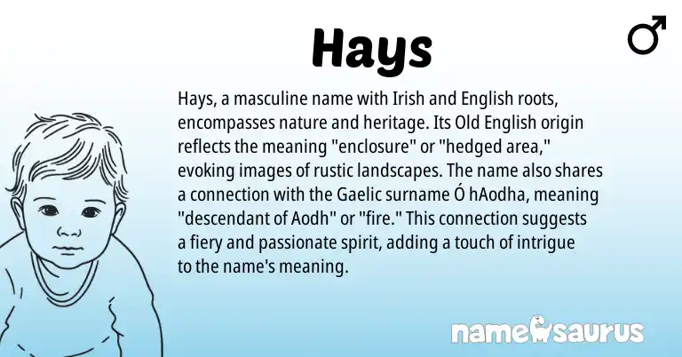 Infographic about Hays name meaning, Hays is a name from Irish, Old English, English, Gaelic origin(s).