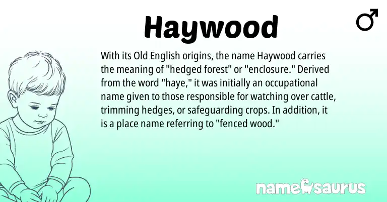 Infographic about Haywood name meaning, Haywood is a name from Old English origin(s).