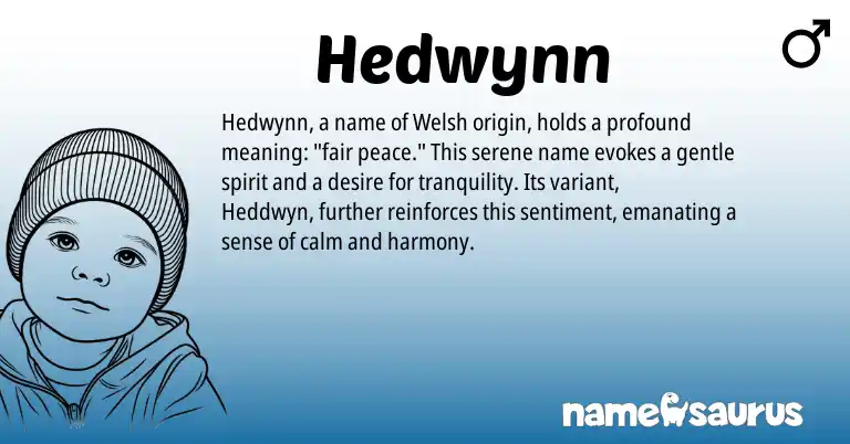 Infographic about Hedwynn name meaning, Hedwynn is a name from Welsh origin(s).