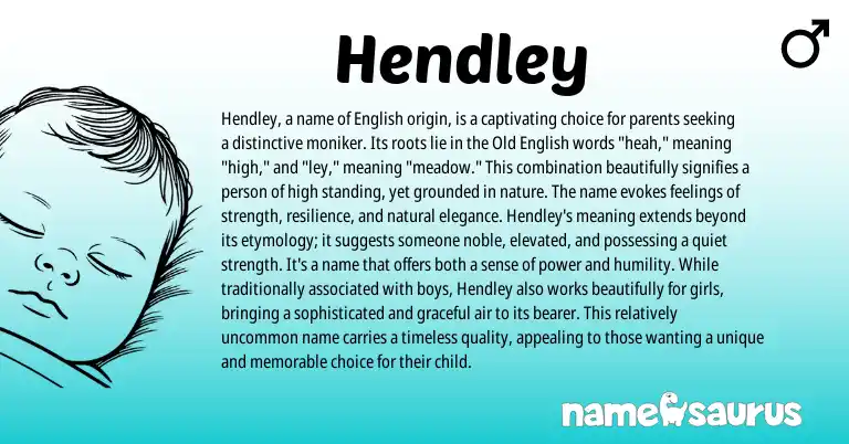 Infographic about Hendley name meaning, Hendley is a name from English origin(s).