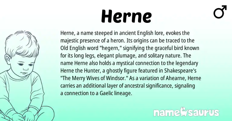 Infographic about Herne name meaning, Herne is a name from Old English, English, Gaelic origin(s).