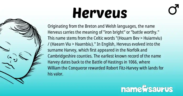 Infographic about Herveus name meaning, Herveus is a name from English, Welsh, Celtic, Breton origin(s).