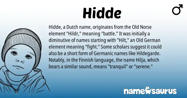 Infographic about Hidde name meaning, Hidde is a name from Old Norse, Finnish, Germanic, Old German, Dutch origin(s).