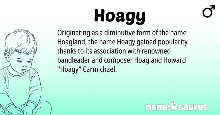 Infographic about Hoagy name meaning, Hoagy is a name from N/A origin(s).