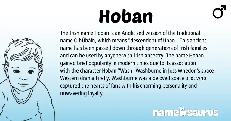 Infographic about Hoban name meaning, Hoban is a name from Irish origin(s).