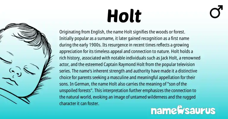 Infographic about Holt name meaning, Holt is a name from German, English origin(s).
