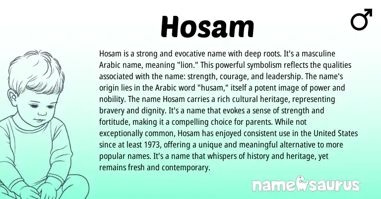 Infographic about Hosam name meaning, Hosam is a name from Arabic origin(s).