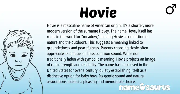 Infographic about Hovie name meaning, Hovie is a name from American origin(s).