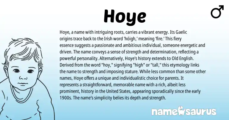 Infographic about Hoye name meaning, Hoye is a name from Gaelic, English, Irish origin(s).