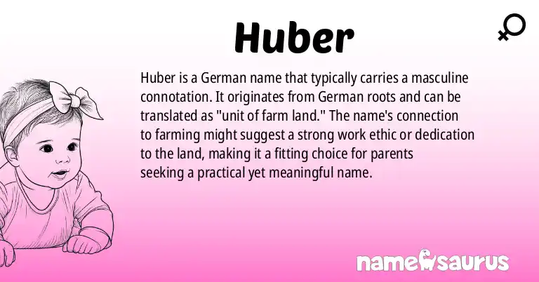 Infographic about Huber name meaning, Huber is a name from German origin(s).