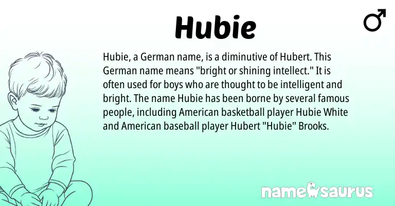 Infographic about Hubie name meaning, Hubie is a name from German, American origin(s).