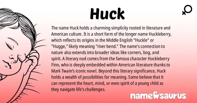 Infographic about Huck name meaning, Huck is a name from Literature, American, British, German origin(s).