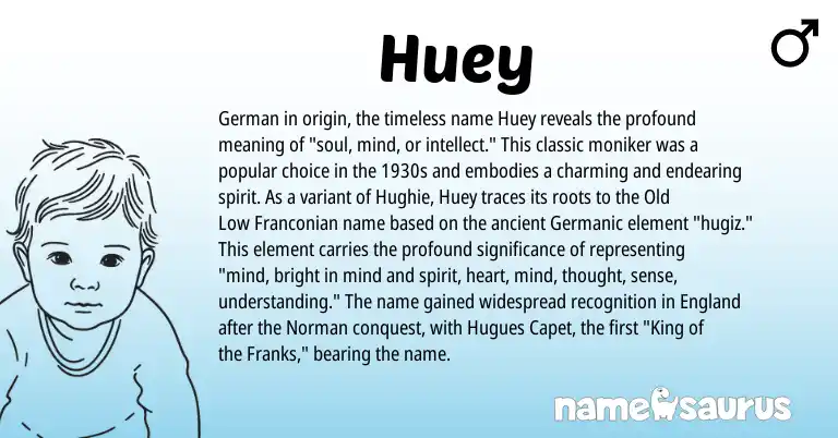 Infographic about Huey name meaning, Huey is a name from German, Norman, Germanic, England origin(s).