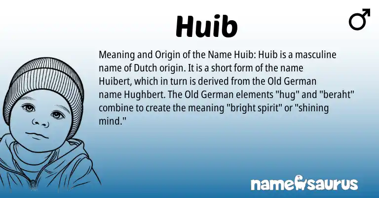 Infographic about Huib name meaning, Huib is a name from Old German, Dutch origin(s).