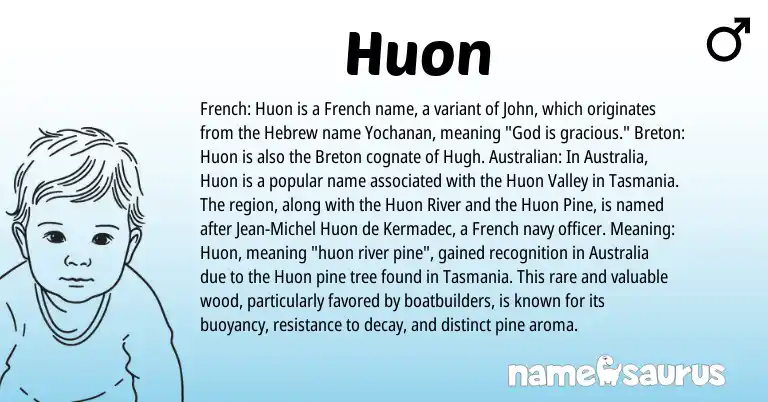 Infographic about Huon name meaning, Huon is a name from French, Australian, Hebrew, Breton origin(s).