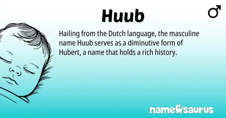 Infographic about Huub name meaning, Huub is a name from Dutch origin(s).