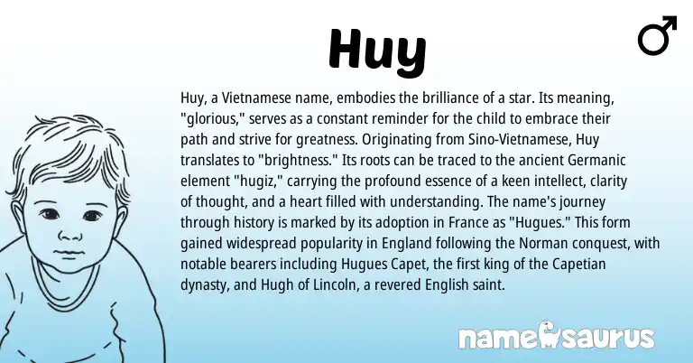 Infographic about Huy name meaning, Huy is a name from Vietnamese, English, England, Germanic, Norman origin(s).
