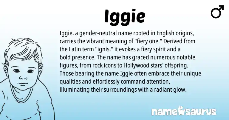 Infographic about Iggie name meaning, Iggie is a name from English, Latin origin(s).