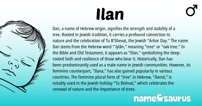 Infographic about Ilan name meaning, Ilan is a name from Jewish, Hebrew origin(s).