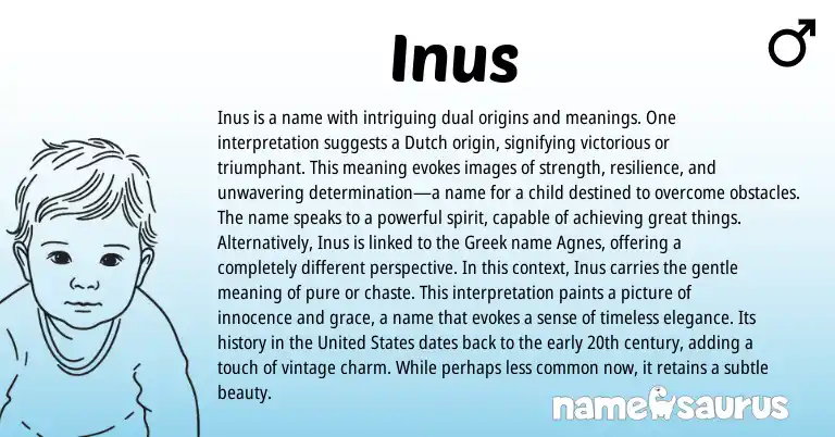 Infographic about Inus name meaning, Inus is a name from Dutch origin(s).