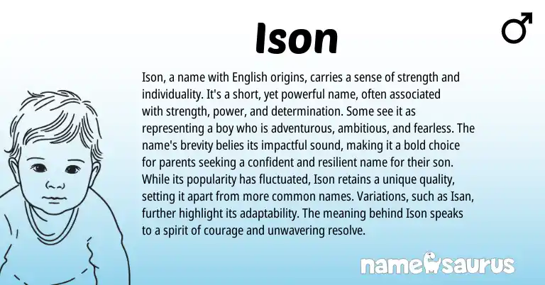 Infographic about Ison name meaning, Ison is a name from Other origin(s).