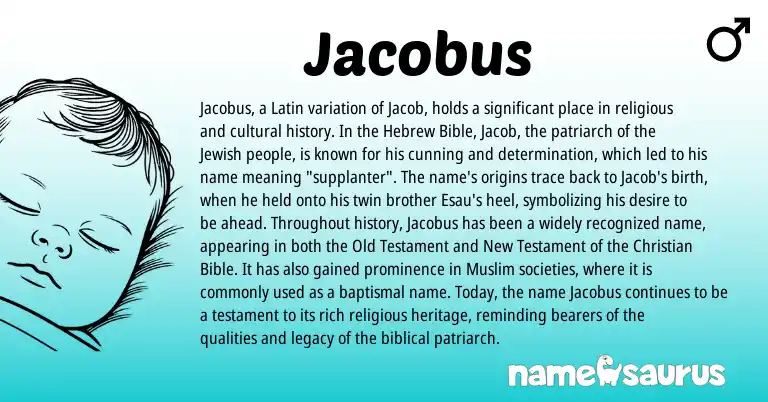 Infographic about Jacobus name meaning, Jacobus is a name from Jewish, Muslim, Latin, Hebrew origin(s).
