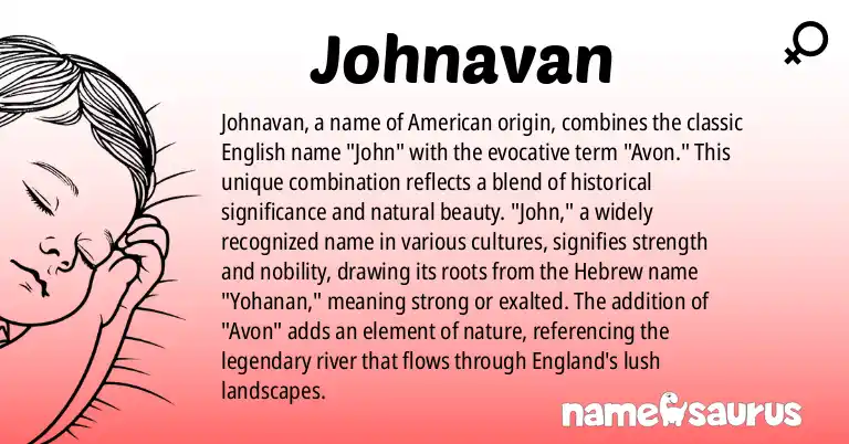 Infographic about Johnavan name meaning, Johnavan is a name from American origin(s).
