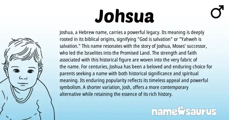 Infographic about Johsua name meaning, Johsua is a name from Unknown origin(s).
