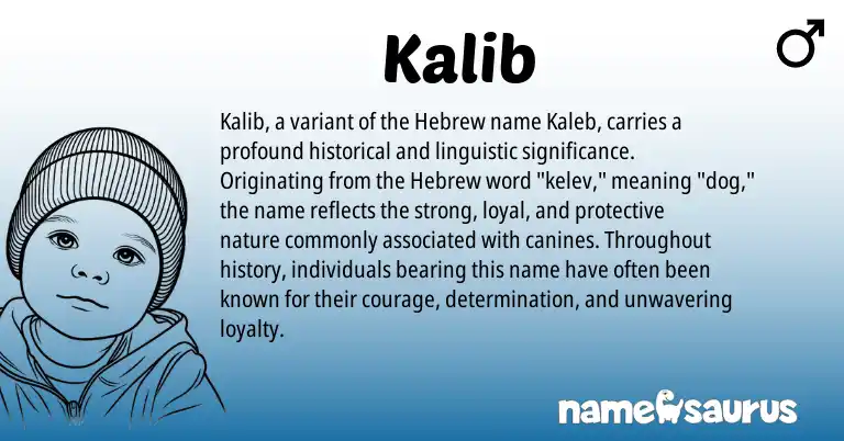 Infographic about Kalib name meaning, Kalib is a name from Hebrew origin(s).