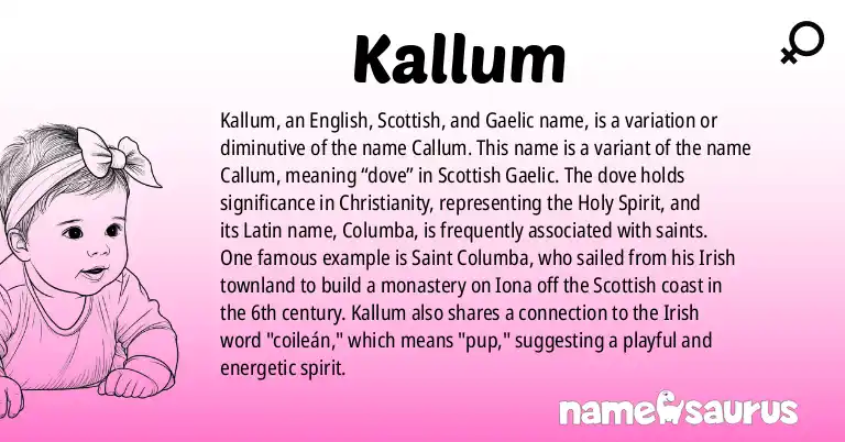 Infographic about Kallum name meaning, Kallum is a name from English, Scottish, Gaelic, Latin origin(s).