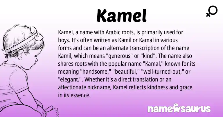 Infographic about Kamel name meaning, Kamel is a name from Arabic origin(s).