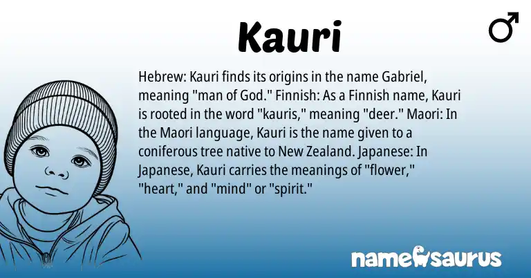 Infographic about Kauri name meaning, Kauri is a name from Finnish, Japanese, New Zealand, Maori, Hebrew origin(s).
