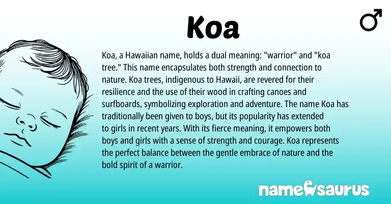 Infographic about Koa name meaning, Koa is a name from Hawaiian origin(s).