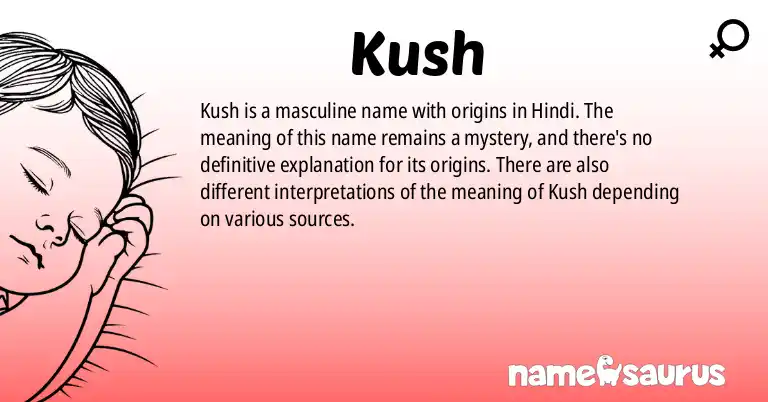 Infographic about Kush name meaning, Kush is a name from Hindi origin(s).