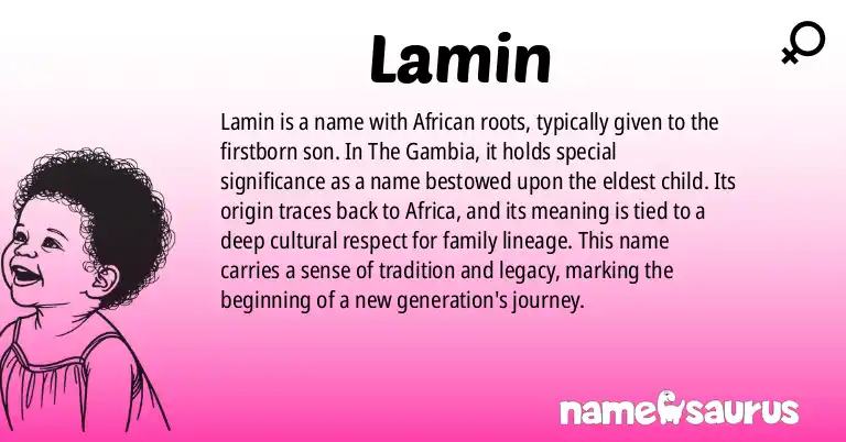 Infographic about Lamin name meaning, Lamin is a name from African origin(s).