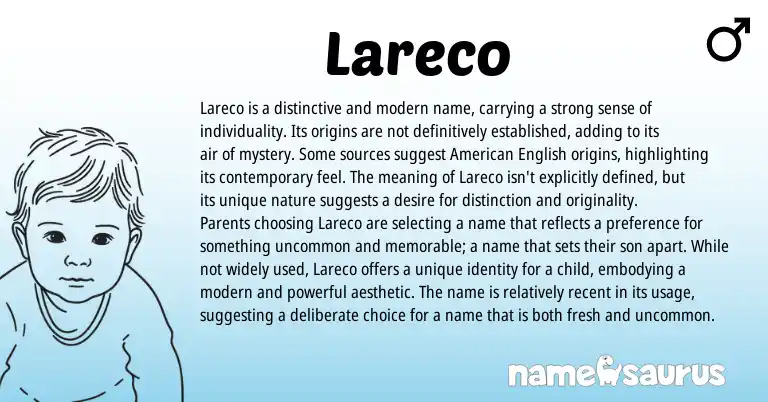Infographic about Lareco name meaning, Lareco is a name from Other origin(s).