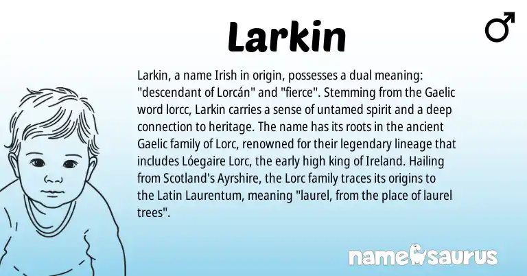 Infographic about Larkin name meaning, Larkin is a name from Irish, Gaelic, Latin, Ireland origin(s).