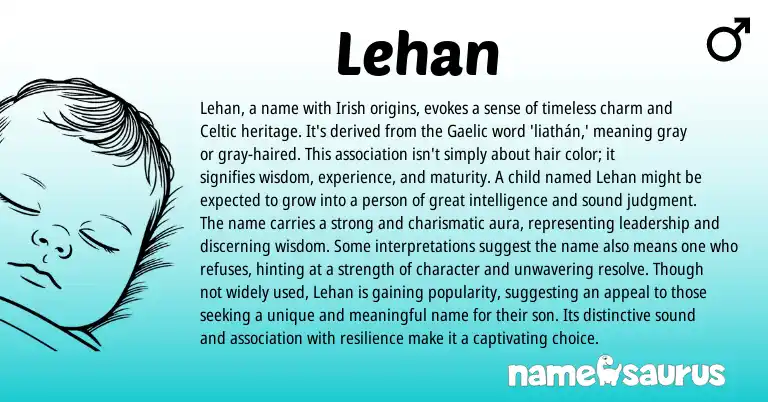 Infographic about Lehan name meaning, Lehan is a name from Indian, Gaelic, Irish origin(s).
