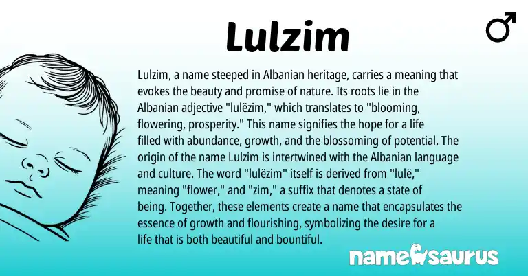 Infographic about Lulzim name meaning, Lulzim is a name from Albanian origin(s).